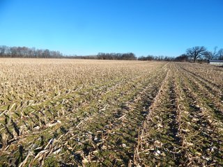 Property photo 16 - REAL ESTATE AUCTION - 100+/- ACRES IN 5 TRACTS IN NOBLE COUNTY, INDIANA